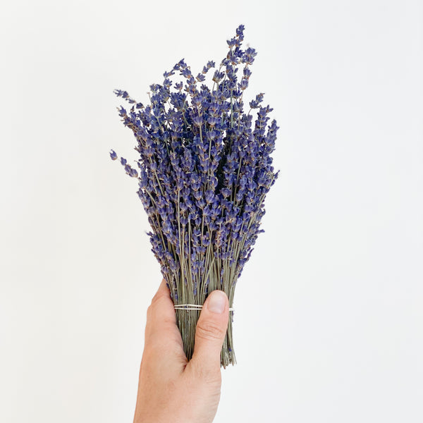 Lavender Bundle