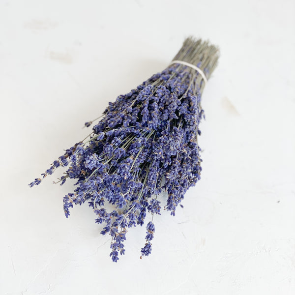 Lavender Bundle