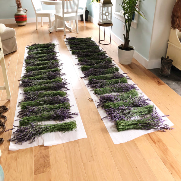 Lavender Bundle Dried