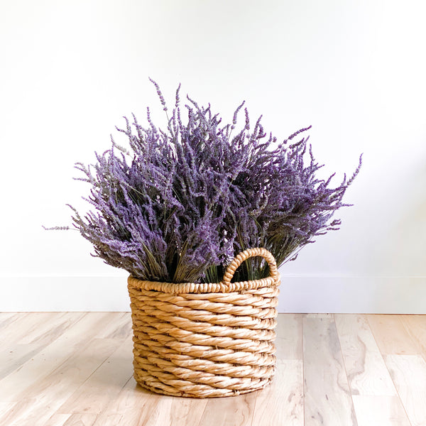 Lavender Bundle