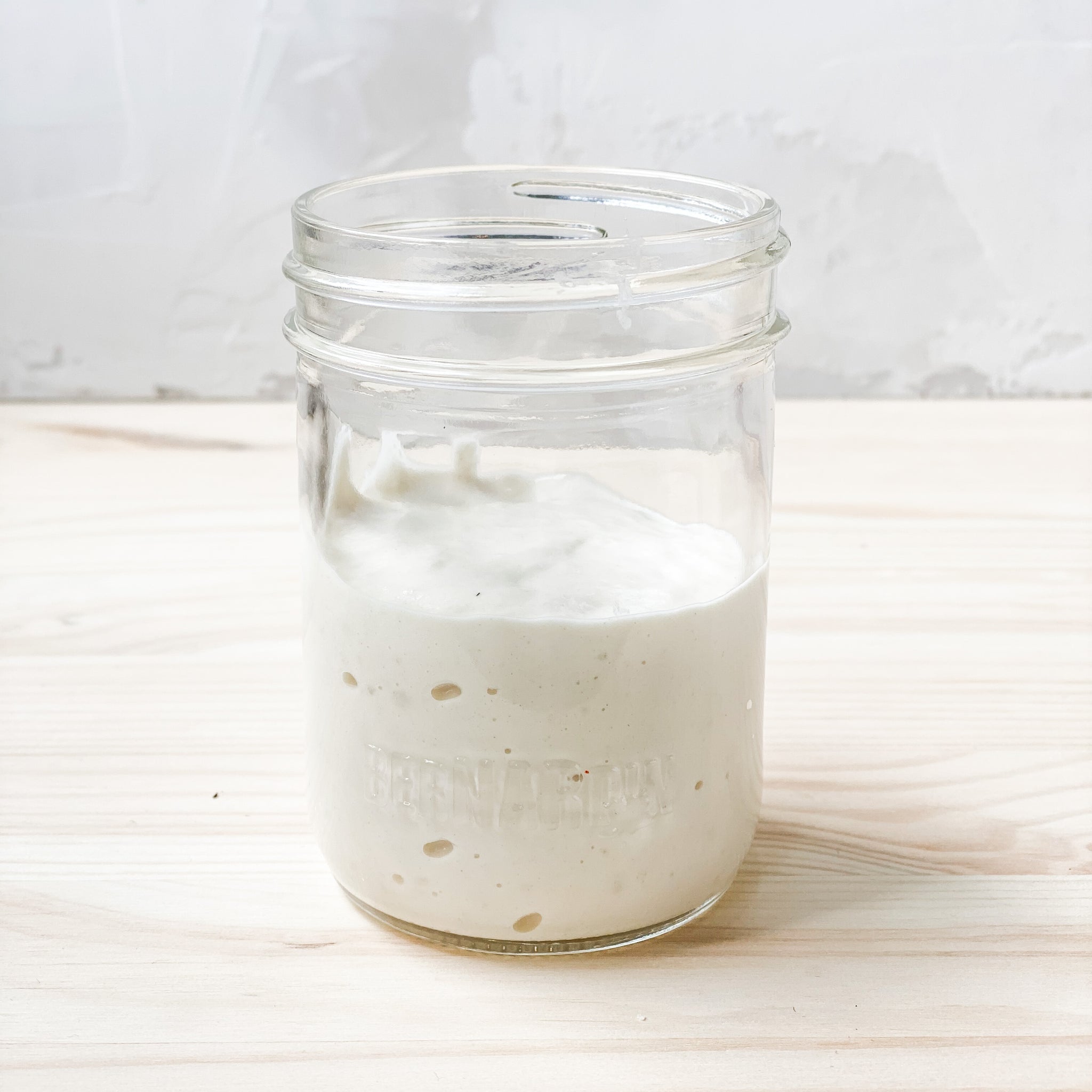 Sourdough Starters - Regular & Gluten Free