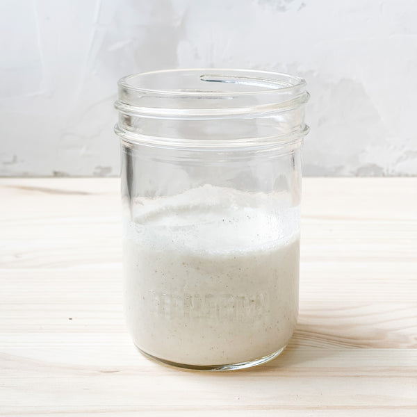 Sourdough Starters - Regular & Gluten Free