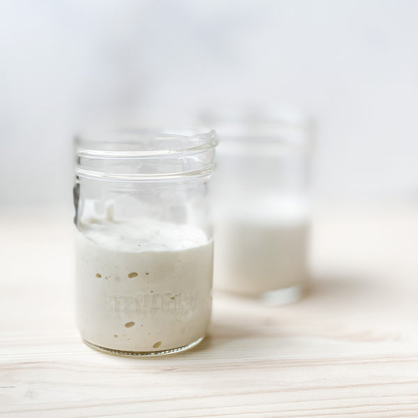 Sourdough Starters - Regular & Gluten Free