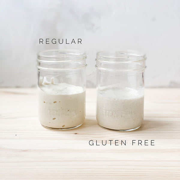 Sourdough Starters - Regular & Gluten Free