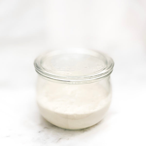 Sourdough Starters - Regular & Gluten Free